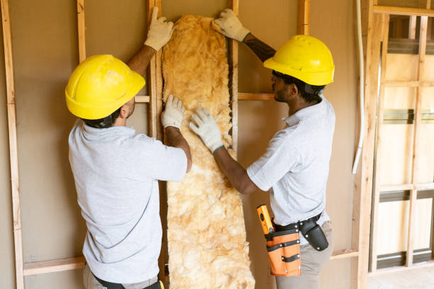 Insulation Repair Services in Moon Lake, FL